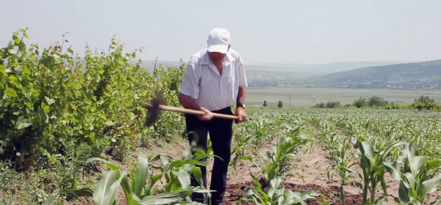 trabalhador-rural-lavoura