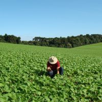 agricultor