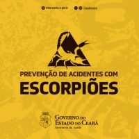 banner_acidentes_escopioes1