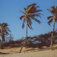 beach-blue-sky-bushes-936548-e1568036237456-768x681