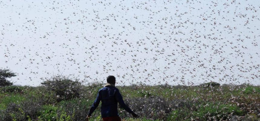 2020062311060_a9fb0f03357f42d436f99959e3c24b15daae03acf61f5b98f31422bba515bf04