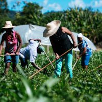 agriculturafamiliar