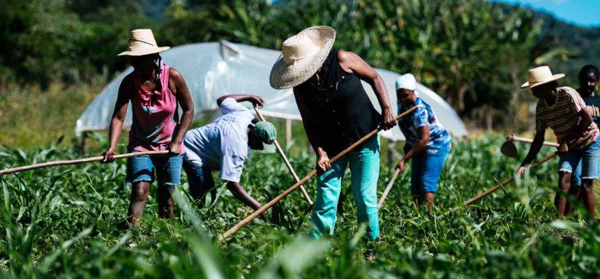 agriculturafamiliar