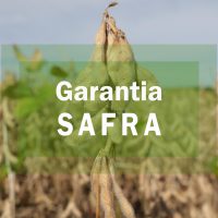 garantia-safra-scaled