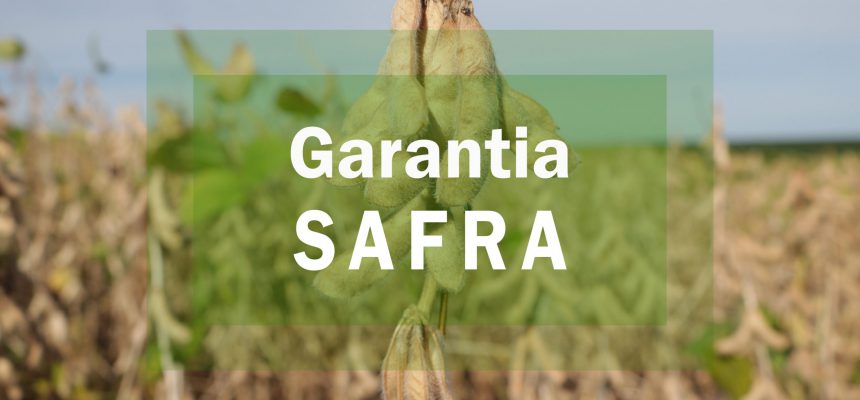 garantia-safra-scaled