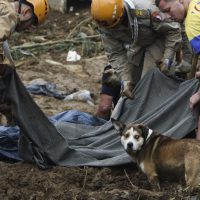 Bombeiros, moradores e voluntários trabalham no local do deslizamento no Morro da Oficina, após a chuva que castigou Petrópolis, na região serrana fluminense