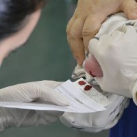 BIE -  Teste do pezinho no Hospital Regional de Taguatinga (HRT).

O teste do pezinho, exame feito a partir de sangue coletado do calcanhar do bebê, é uma das principais formas de diagnosticar seis doenças que, quanto mais cedo forem identificadas, melhores são as chances de tratamento. São elas fenilcetonúria, hipotireoidismo congênito, doença falciforme e outras hemoglobinopatias, fibrose cística, deficiência de biotinidase e hiperplasia adrenal congênita.
Para realizar o teste do pezinho, a família deve levar o recém-nascido a uma unidade básica de saúde entre o 3° e o 5° dia de vida. É fundamental ter atenção a esse prazo.

Foto: Edilson Rodrigues/Agência Senado