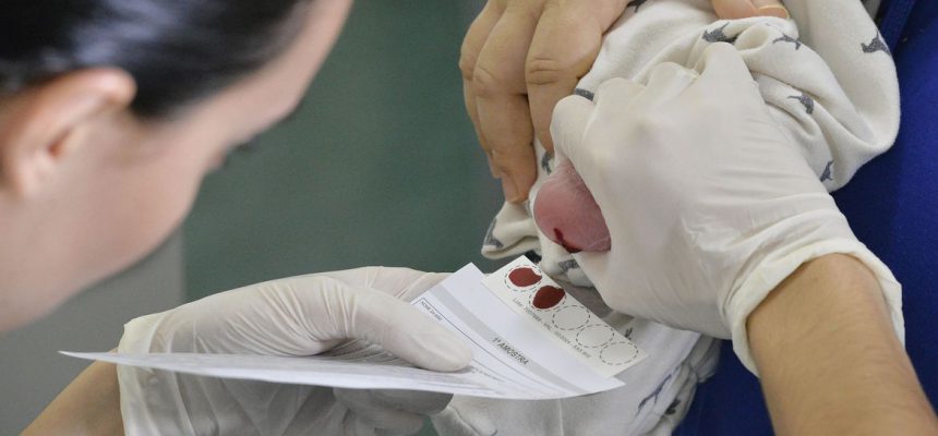 BIE -  Teste do pezinho no Hospital Regional de Taguatinga (HRT).

O teste do pezinho, exame feito a partir de sangue coletado do calcanhar do bebê, é uma das principais formas de diagnosticar seis doenças que, quanto mais cedo forem identificadas, melhores são as chances de tratamento. São elas fenilcetonúria, hipotireoidismo congênito, doença falciforme e outras hemoglobinopatias, fibrose cística, deficiência de biotinidase e hiperplasia adrenal congênita.
Para realizar o teste do pezinho, a família deve levar o recém-nascido a uma unidade básica de saúde entre o 3° e o 5° dia de vida. É fundamental ter atenção a esse prazo.

Foto: Edilson Rodrigues/Agência Senado