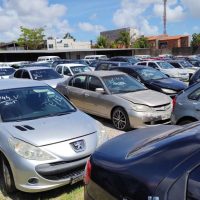 whatsapp-image-2023-11-07-at-14-27-19-1200x675