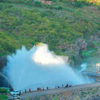 d90ae90d-386d-43bb-bc66-c241535f70e8