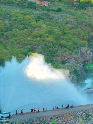 d90ae90d-386d-43bb-bc66-c241535f70e8