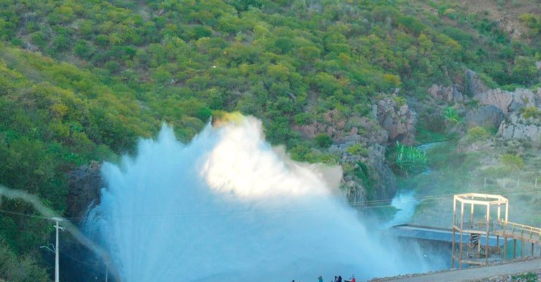 d90ae90d-386d-43bb-bc66-c241535f70e8